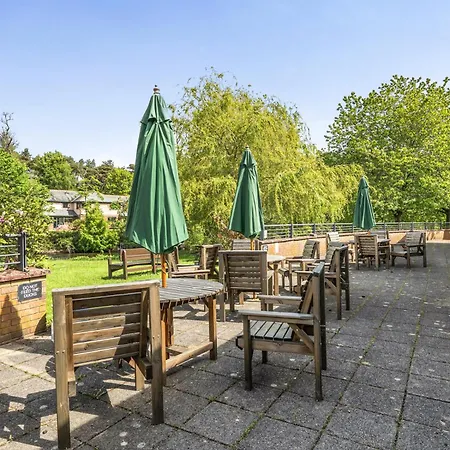 Jubilee Three Bedroom House Pet Free